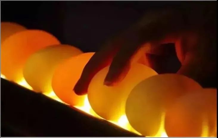  海鸭蛋突入火锅品类，“国货之光”还能玩出什么花样？