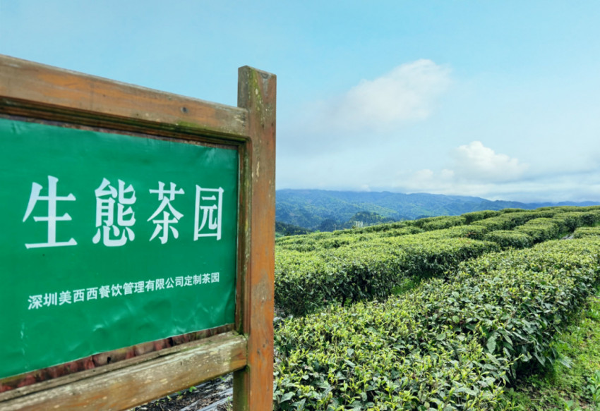 新茶饮行业新论：布局供应链不是突围行业内卷的手段
