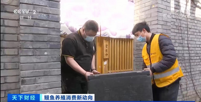 “国鳗崛起”：超1000万中国人每月吃鳗鱼，50元以下鳗鱼菜品订单火爆