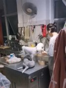 餐饮店放任狗在操作台上碰触外卖，杭州市监局
