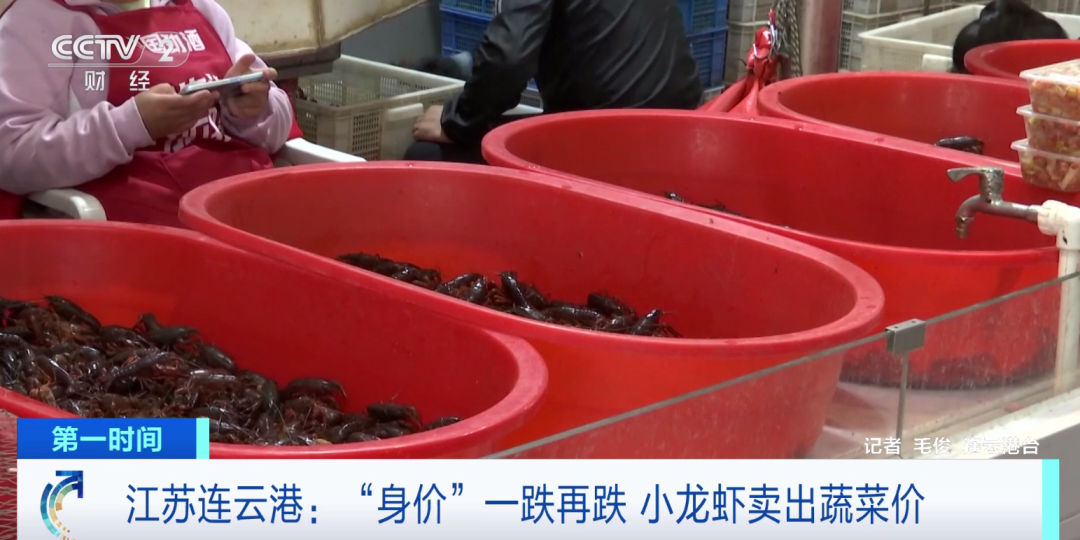 小龙虾卖出蔬菜价，昔日每斤70元，如今已跌破10元！