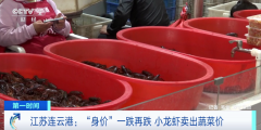 小龙虾卖出蔬菜价，昔日每斤70元，如今已跌破