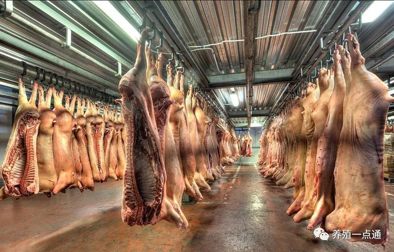 国家出手了！发改委启动中央冻猪肉收储 猪价