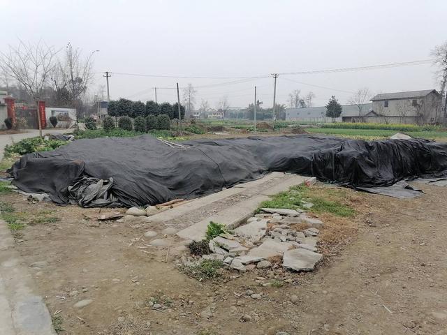 非法加工！成都彭州一无证酸菜加工场所被查封