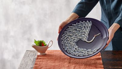 河豚全产业链提供商「肆月河豚」完成3500万元