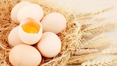 “重庆产”鲜鸡蛋首次实现自营出口：一天左右