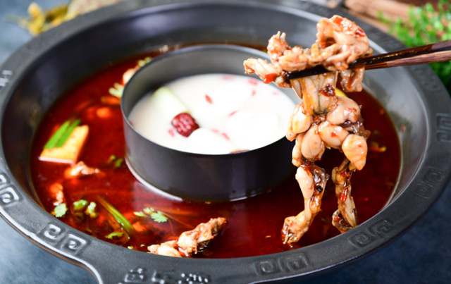 【鱼乐湾】加入鱼乐湾总部有哪些扶持? 【鱼乐湾】加入鱼乐湾总部有哪些扶持?