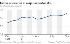 进口牛肉价格“坐上火箭”，日本餐厅老板们叫