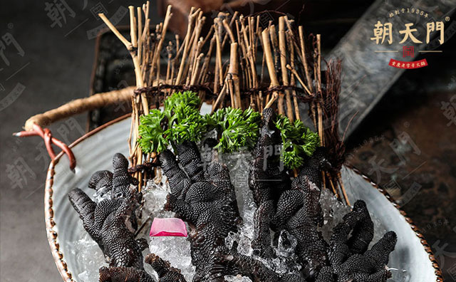 重庆朝天门火锅适不适合年轻人合作? 重庆朝天门火锅适不适合年轻人合作?