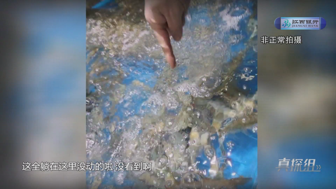 盒马鲜生南昌店被曝光!死虾死蟹上架 网红甜品涉嫌虚假宣传