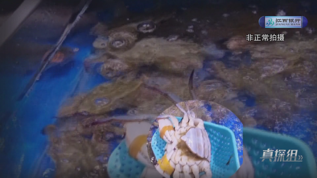 盒马鲜生南昌店被曝光!死虾死蟹上架 网红甜品涉嫌虚假宣传