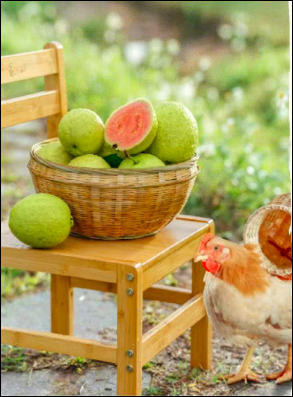 刺梨、芭乐纷纷入杯,小众水果能解茶饮的爆品焦虑吗?