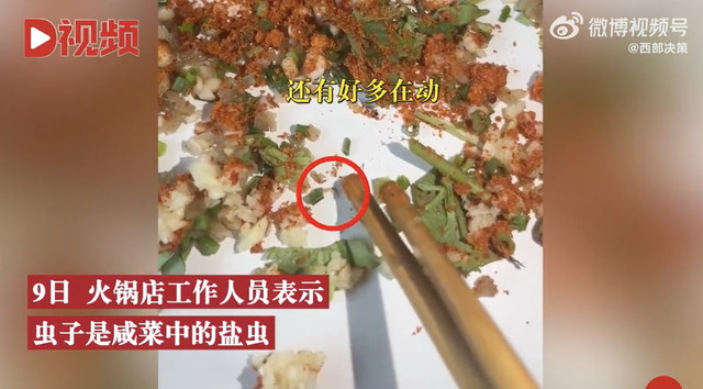 火锅小料中吃出活虫索赔10万，店家：已报警