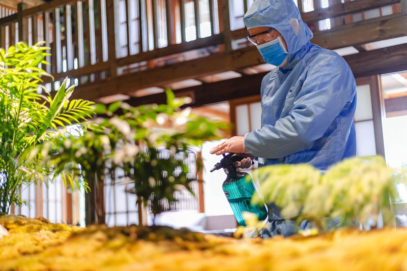 哈尔滨有序恢复正常生产生活秩序，餐饮机构暂不恢复堂食
