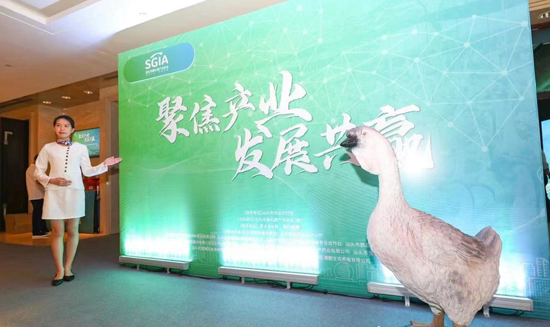 林剑冰当选汕头市狮头鹅产业协会会长，推动狮头鹅预制菜走向国际