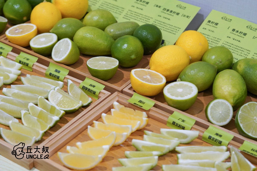 这个广东人喝出来的柠檬茶品牌也有了代言人