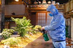 浦东新区1万余家餐饮企业完成堂食备案，正开展