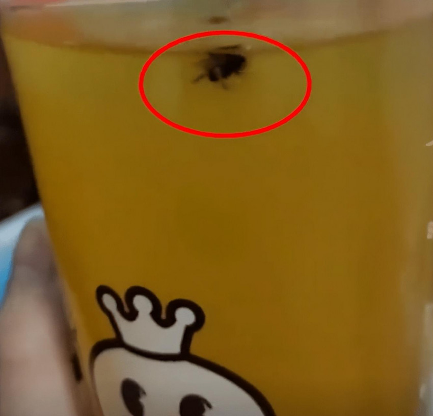 蜜雪冰城饮品中出现苍蝇，店家：封口时飞进去的，已赔偿