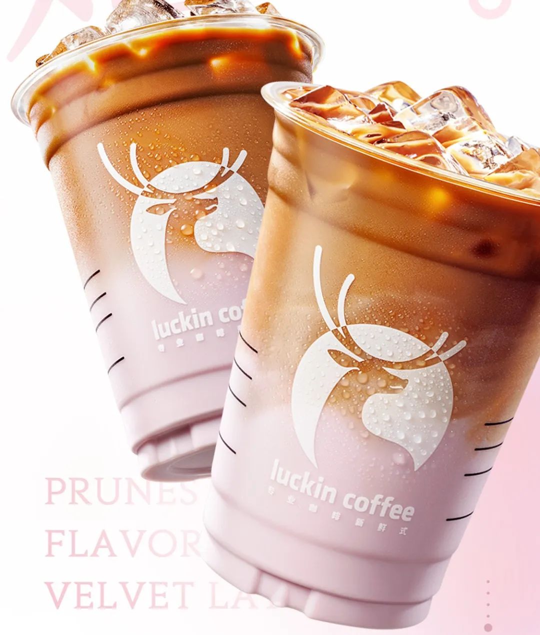 网红用大白鲨做菜涉嫌违法；海底捞回应旗下品牌闭店未退会员费