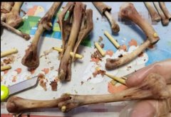 男子啃鸭腿发现木棍？厂家回应：鸭架易散，需