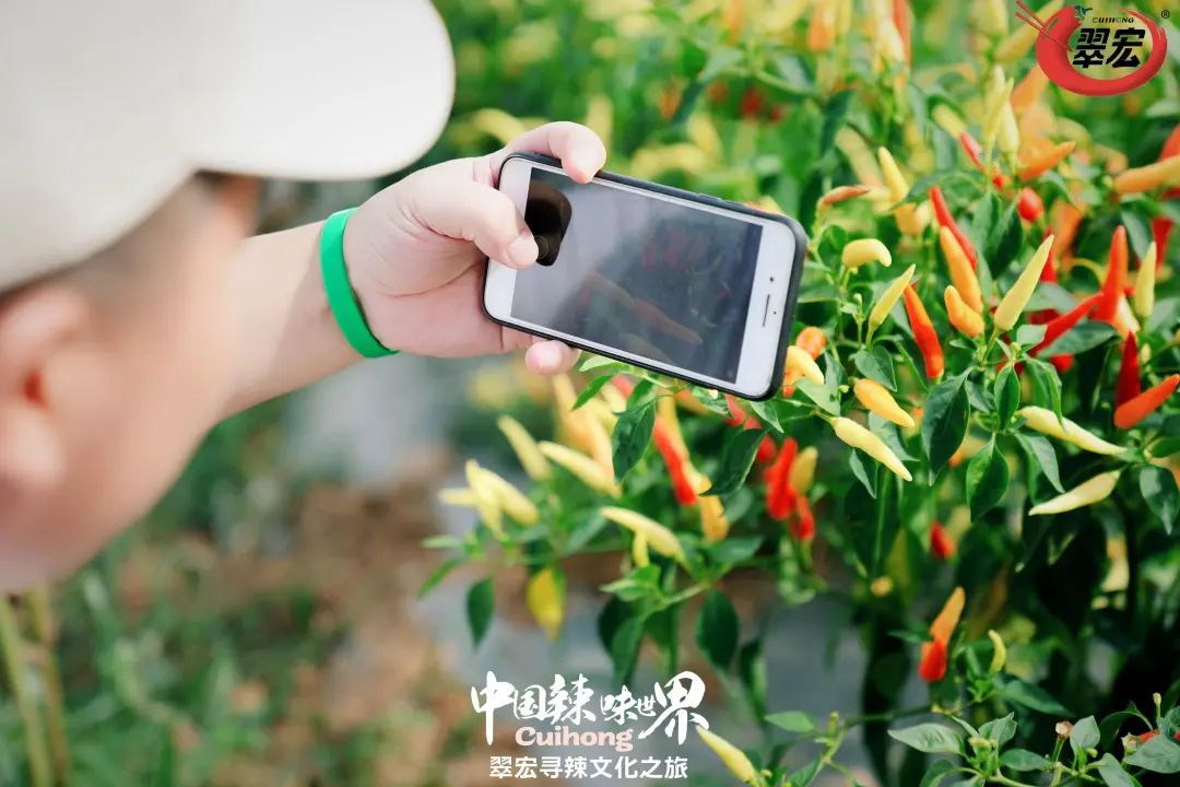 一场寻辣之旅，我们看到了餐饮“成瘾性”事业的潜力