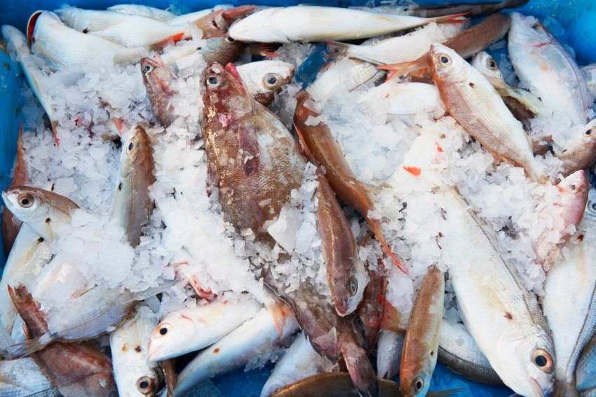 万亿预制菜，冰火两重天