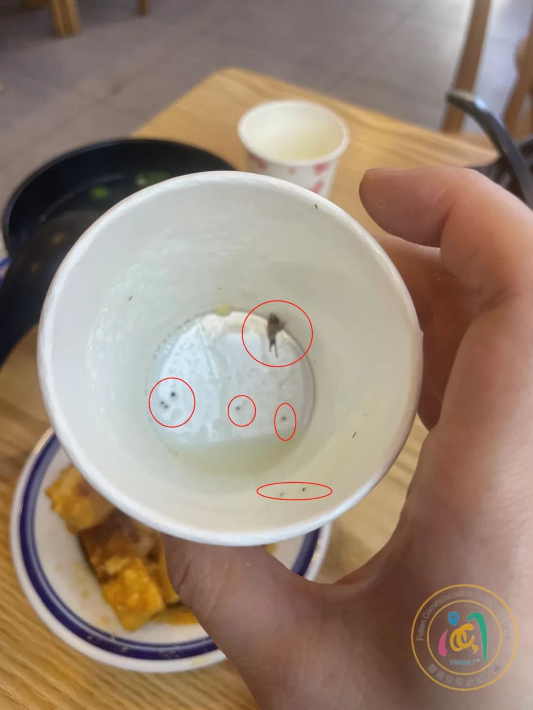 豆浆中喝出蟑螂，福州这家餐饮店被曝光