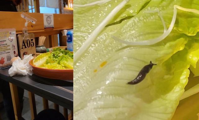 食客花376元吃寿喜锅吃出活虫?双方协商未果,相关部门正调查