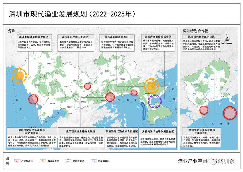 官宣！深圳要为广东近80%的金枪鱼建一座国家级新地标