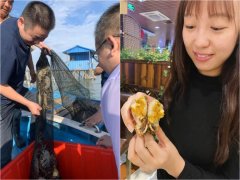 大闸蟹迎消费小高峰，这些销售套路还需了解一