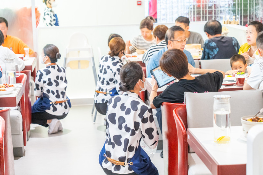 海底捞你学不会,小放牛你学不了