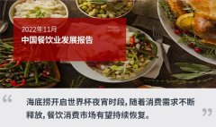 2022年11月中国餐饮业发展报告