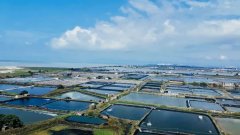 解密逮虾记：专注虾滑大单品供应链，单月销售