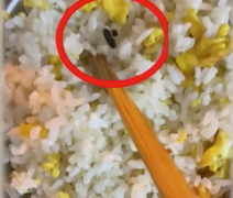 顾客点炒饭吃出老鼠屎，老板当场吃下：油温太