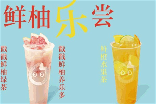 coco都可加盟 coco都可加盟