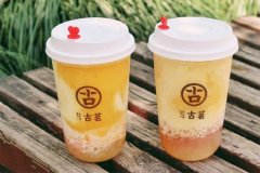 古茗奶茶加盟条件及费用，古茗奶茶店加盟大概