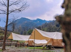 露营跨界有多火？全国线上露营商户新增7成，露