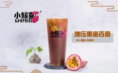 加盟一家小惊喜奶茶多钱?