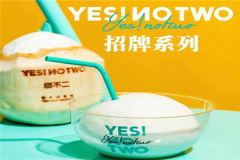 椰不二奶茶加盟费多少？