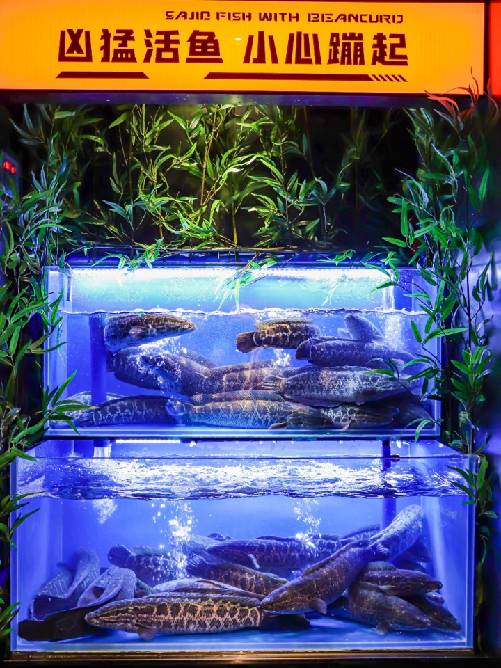 瞄准“豆花鱼”品类，看撒椒如何解锁生意密码？