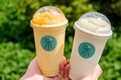 上海茉茉酸奶加盟条件很高吗，上海茉茉酸奶店