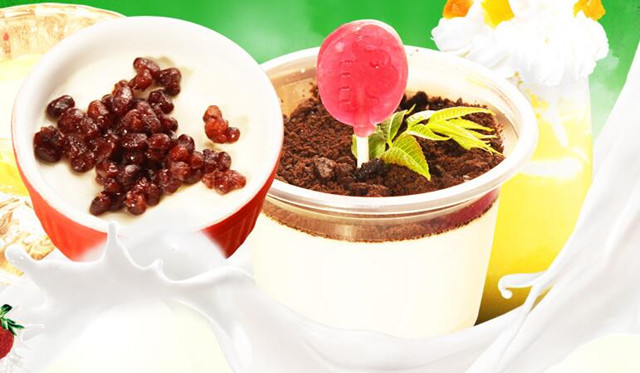 茉酸奶加盟费及条件，茉酸奶加盟还是直营