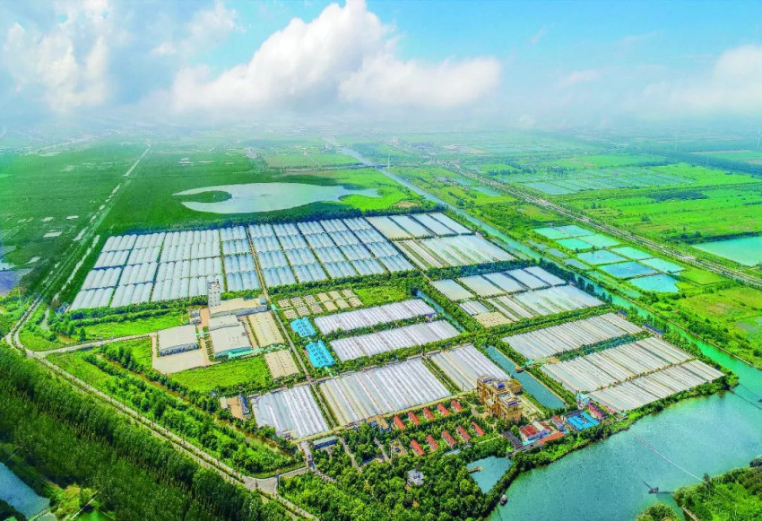 拆解千亿水产预制菜赛道,“劣币”将出清,“良币”更占上风