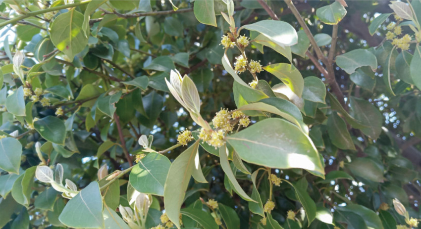 面馆赛道大浪淘沙，这个品牌道出了穿越周期的秘密