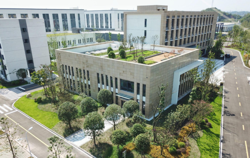 面馆赛道大浪淘沙，这个品牌道出了穿越周期的秘密