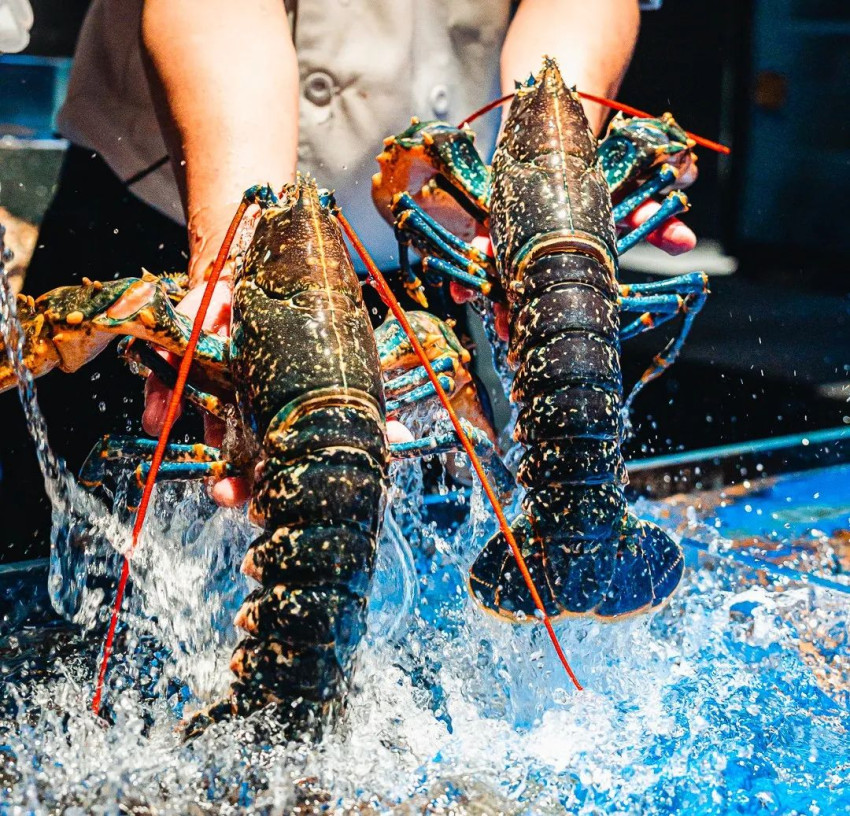 年接待人次超800万,全国海鲜酒楼TOP1是如何炼成的?