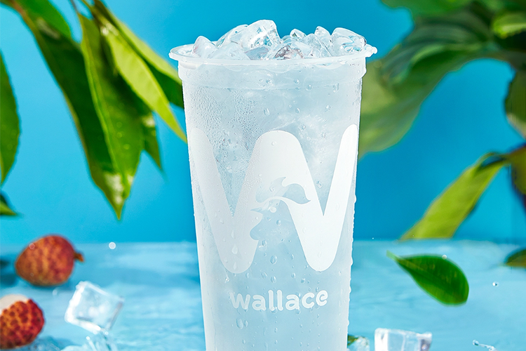 汉川华莱士加盟