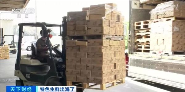 日本拉面里的笋干，依赖从中国进口