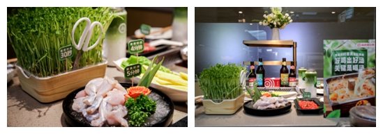 “味蕾游”掀起五一消费新潮流 海底捞9款春夏新品全国上新