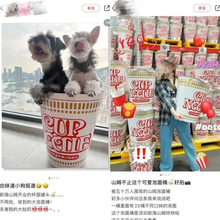 深圳疯抢网红泡面桶，已被炒至1999元！网友：真吃饱撑的